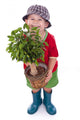 Little Gardener Boy