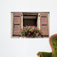 France Shutters Window Flowers