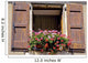 France Shutters Window Flowers