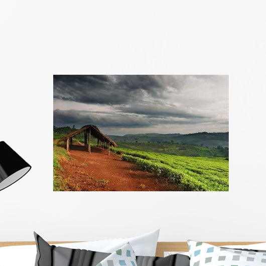 Tea Plantation Uganda Wall Decal