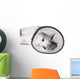Cat Wearing Protective Elizabethan Wall Decal