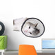 Cat Wearing Protective Elizabethan Wall Decal