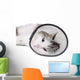 Cat Wearing Protective Elizabethan Wall Decal