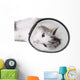 Cat Wearing Protective Elizabethan Wall Decal