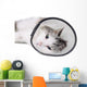 Cat Wearing Protective Elizabethan Wall Decal