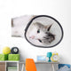 Cat Wearing Protective Elizabethan Wall Decal