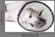 Cat Wearing Protective Elizabethan Wall Decal