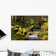 Rapid Stream through Forrest Wall Decal