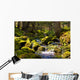 Rapid Stream through Forrest Wall Decal