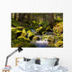 Rapid Stream through Forrest Wall Decal