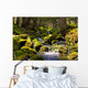 Rapid Stream through Forrest Wall Decal
