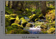 Rapid Stream through Forrest Wall Decal