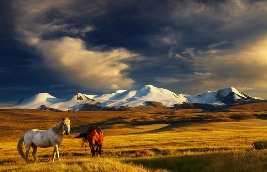 Sunset Mountain Landscape with Horses Wall Decal