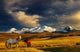 Sunset Mountain Landscape with Horses Wall Decal