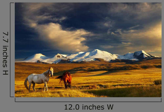 Sunset Mountain Landscape with Horses Wall Decal