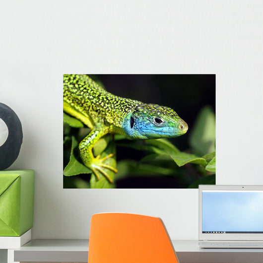 Green Lizard Wall Decal