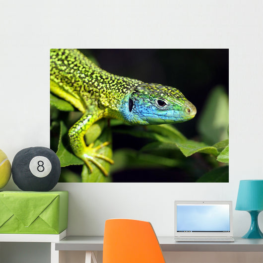 Green Lizard Wall Decal