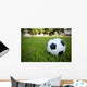 Football/Soccerball on Grass Wall Decal