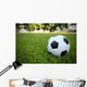 Football/Soccerball on Grass Wall Decal