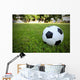 Football/Soccerball on Grass Wall Decal