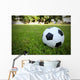 Football/Soccerball on Grass Wall Decal