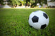 Football/Soccerball on Grass Wall Decal