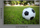 Football/Soccerball on Grass Wall Decal