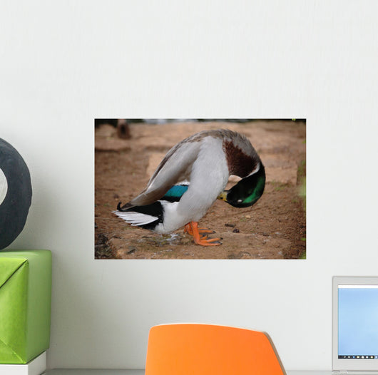 Hiding Wall Decal