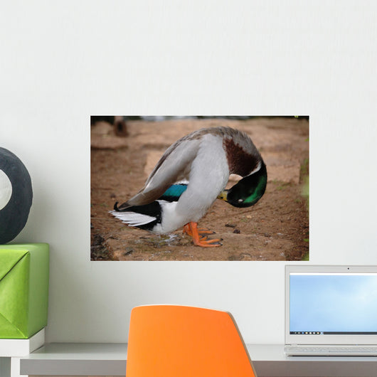Hiding Wall Decal