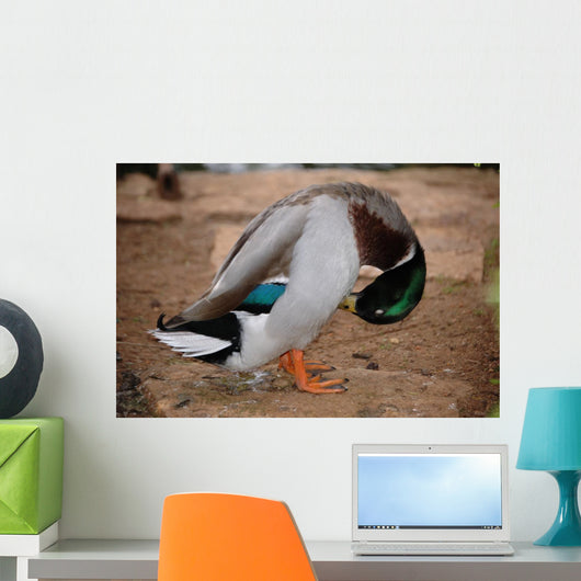 Hiding Wall Decal