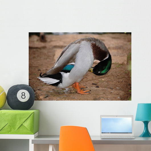Hiding Wall Decal