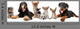 Group Puppies Wall Decal