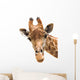 Giraffe Closeup Wall Decal