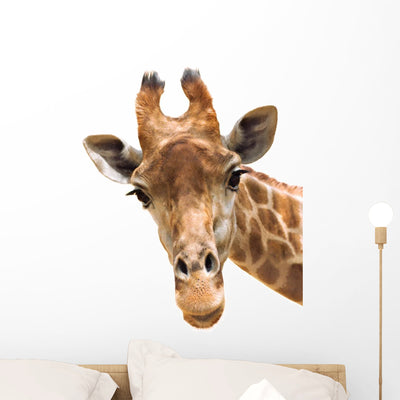 Giraffe Closeup Wall Decal shown on a wall