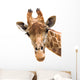 Giraffe Closeup Wall Decal