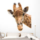 Giraffe Closeup Wall Decal