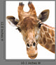 Giraffe Closeup Wall Decal