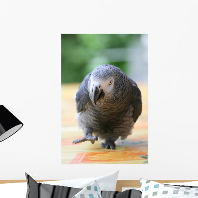 Parrot Grey Gabon Running Wall Decal shown on a wall