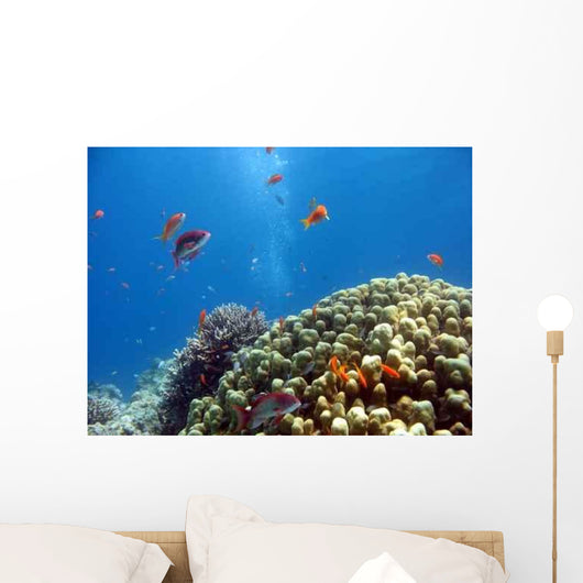 Coral Reef Scene 1 Wall Decal