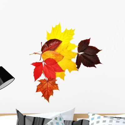 Colorful Autumn Leaves Wall Decal shown on a wall