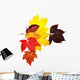 Colorful Autumn Leaves Wall Decal