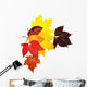 Colorful Autumn Leaves Wall Decal