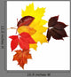 Colorful Autumn Leaves Wall Decal