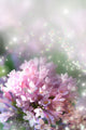 Fairy Dust Lilac Wall Decal
