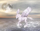 Bellissimo Cavallo Alato Che Wall Decal