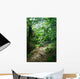 Trail Rainforest Meeting Wall Decal