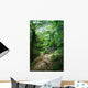 Trail Rainforest Meeting Wall Decal