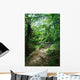 Trail Rainforest Meeting Wall Decal