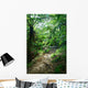 Trail Rainforest Meeting Wall Decal