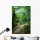 Trail Rainforest Meeting Wall Decal